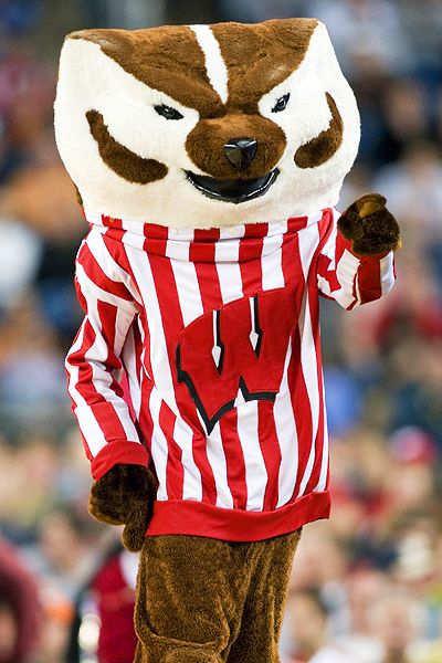 Wisconsin Badger